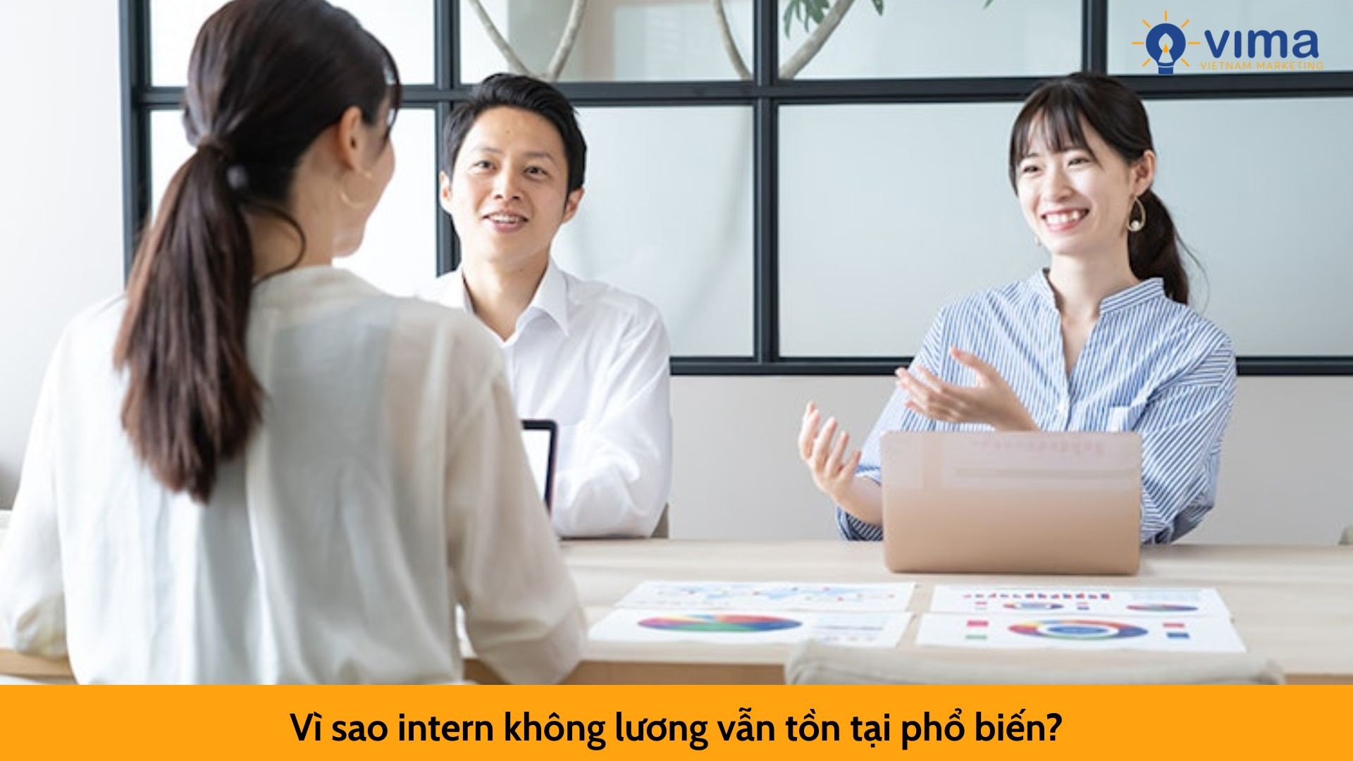 Vì sao intern không lương vẫn tồn tại phổ biến?